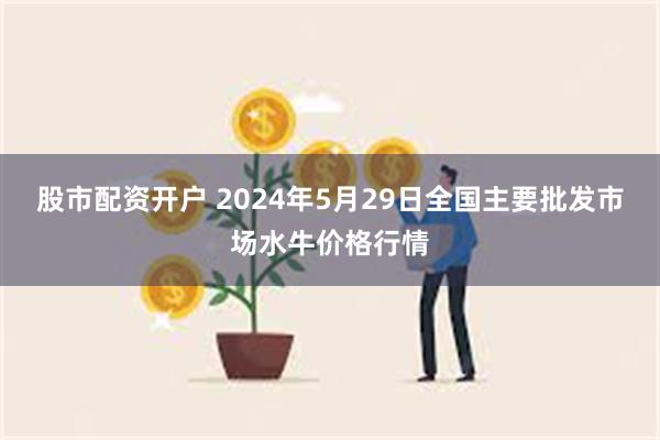 股市配资开户 2024年5月29日全国主要批发市场水牛价格行情